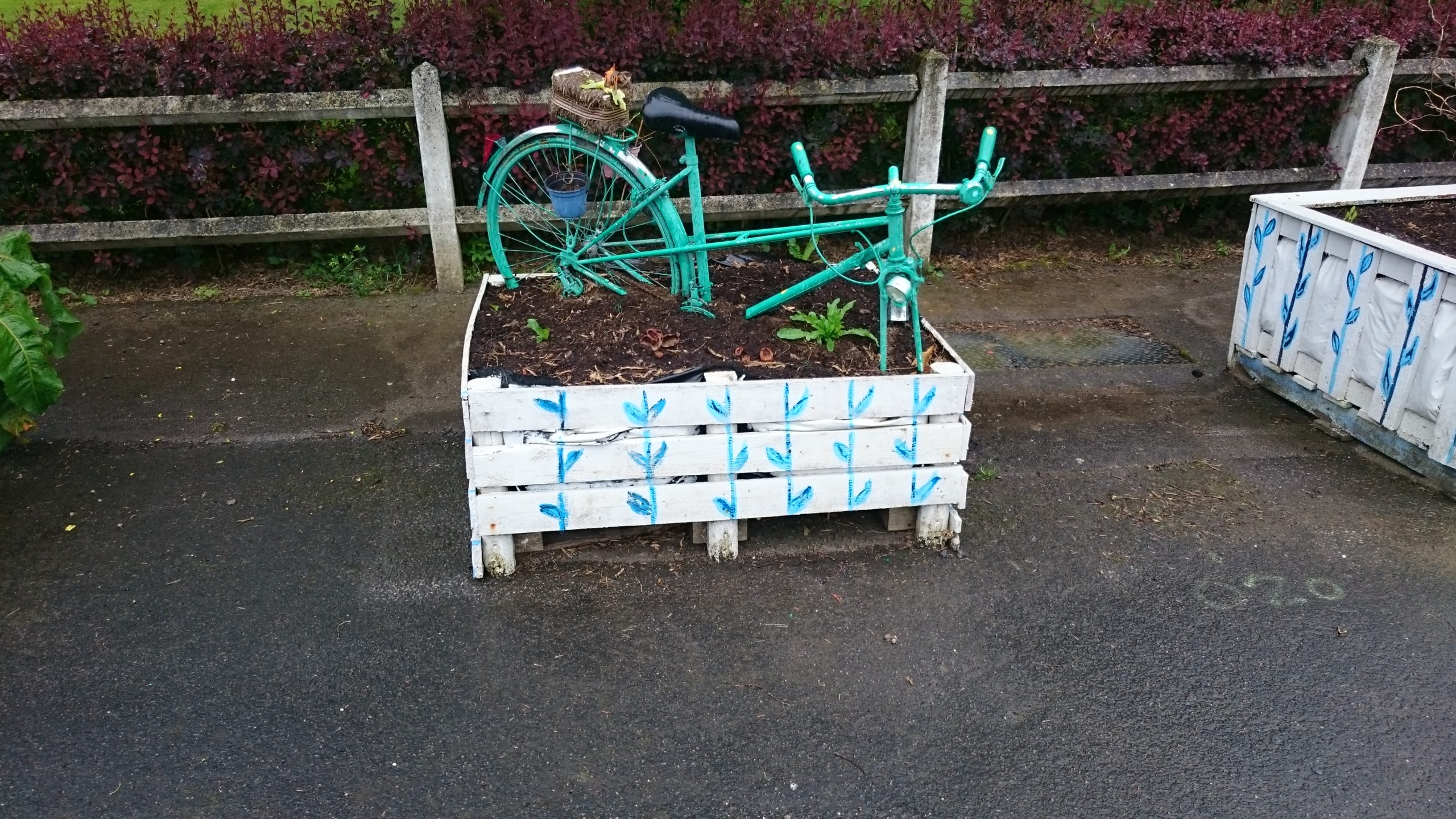 vélo Planté à Eppe Sauvage ;-)