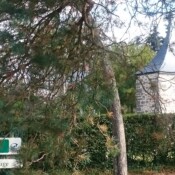 village de la Fagne et du Bocage, Moustier !