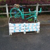 vélos dans un bac de fleurs, à Féron