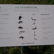nourriture de la faune du Val Joly - Panneau Information
