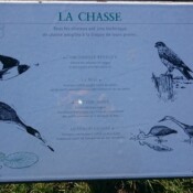 oiseaux - Panneau du Val Joly