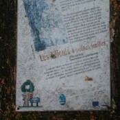 panneau sur le Tilleul de Baives