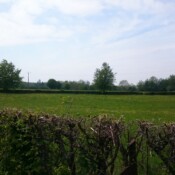 paysage sur Féron