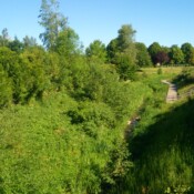 les Anorelles à Anor