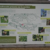 la biodiversité dans la carrière de Wallers-en-Fagne