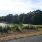 étang sur la route de Moustier en Fagne