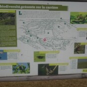 les oiseaux à la Carrière de Wallers en Fagne