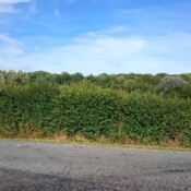 route de Moustier en Fagne vers Baives